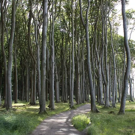 Deichgraf 4 * Börgerende-Rethwisch