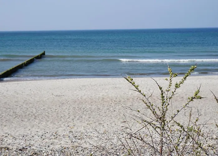 Deichgraf 4 * Börgerende-Rethwisch
